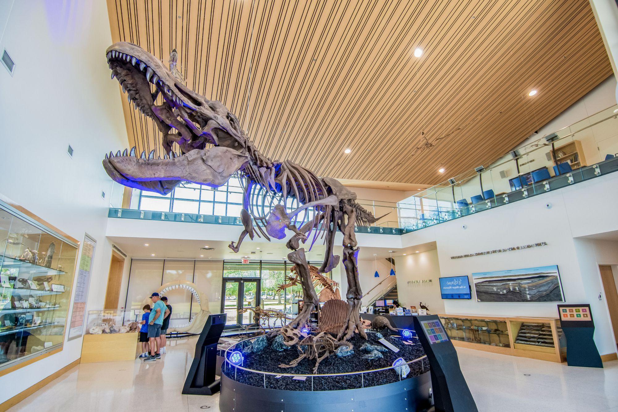 The Dinosaur statue at the Mayer Museum