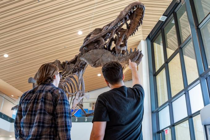 Students and t-rex